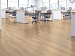 Виниловый пол SPC Floor Noventis Granit Тасман 6003