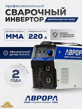 Инвертор Aurora Вектор 2200